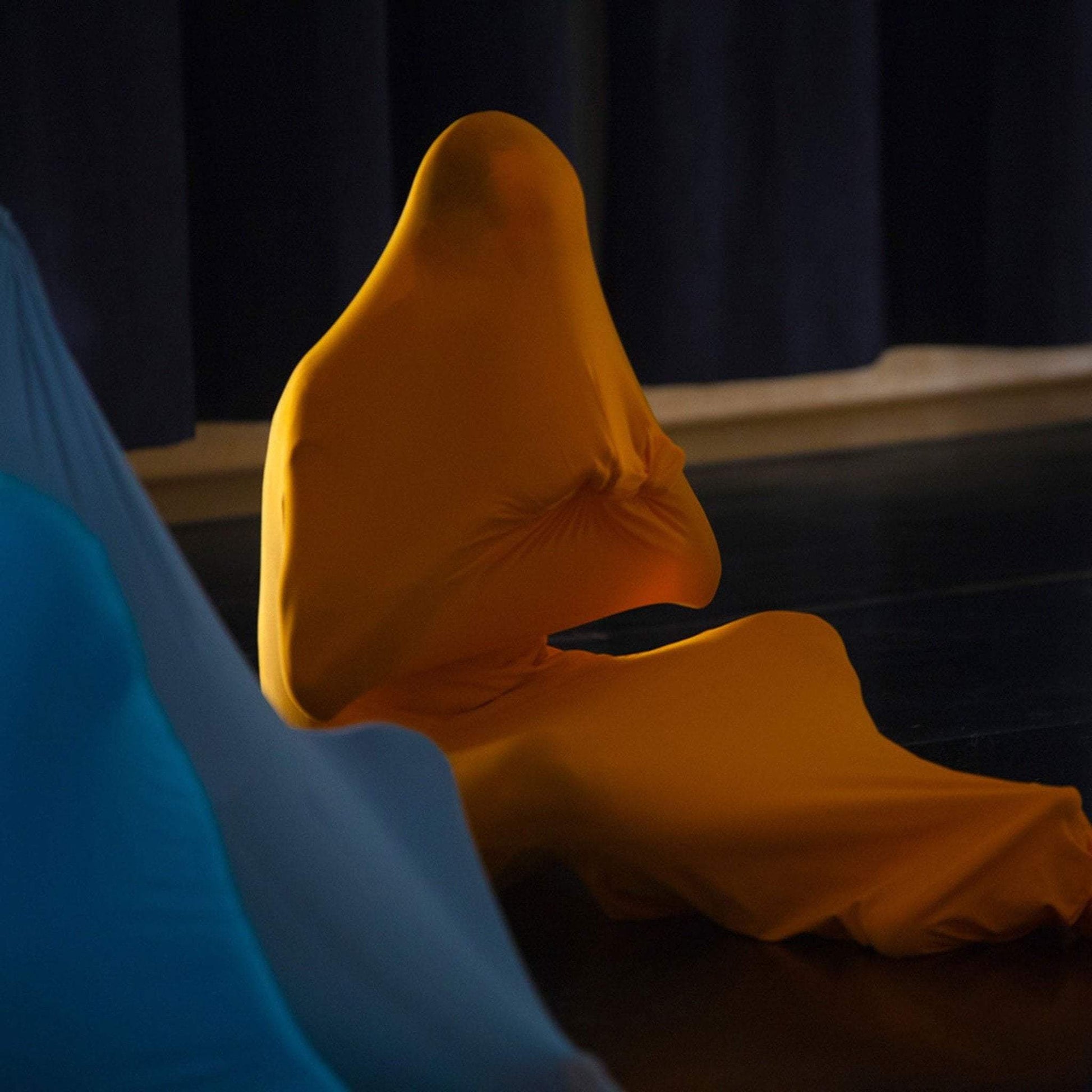 human in intimate bag in tumeric colour 